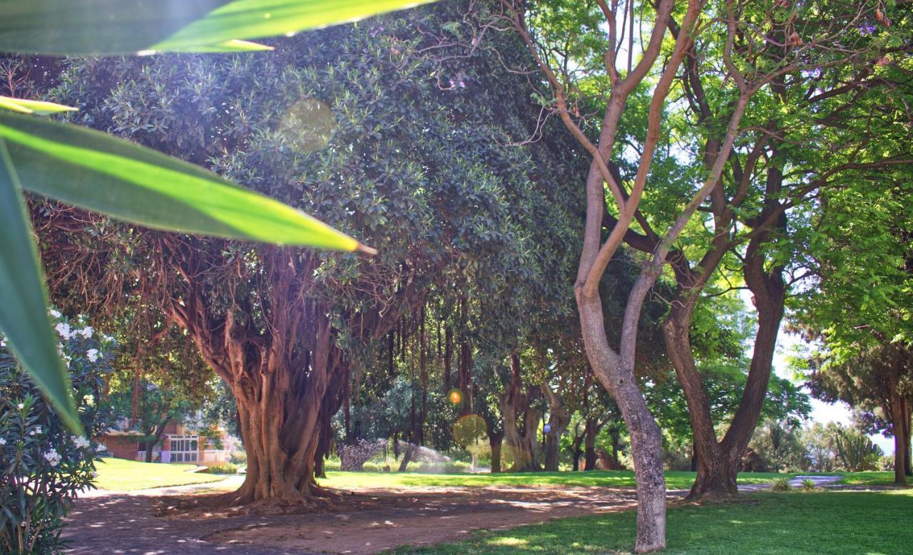 Parque De La Paloma Area - Benalmadena Costa Lejlighed Eksteriør billede